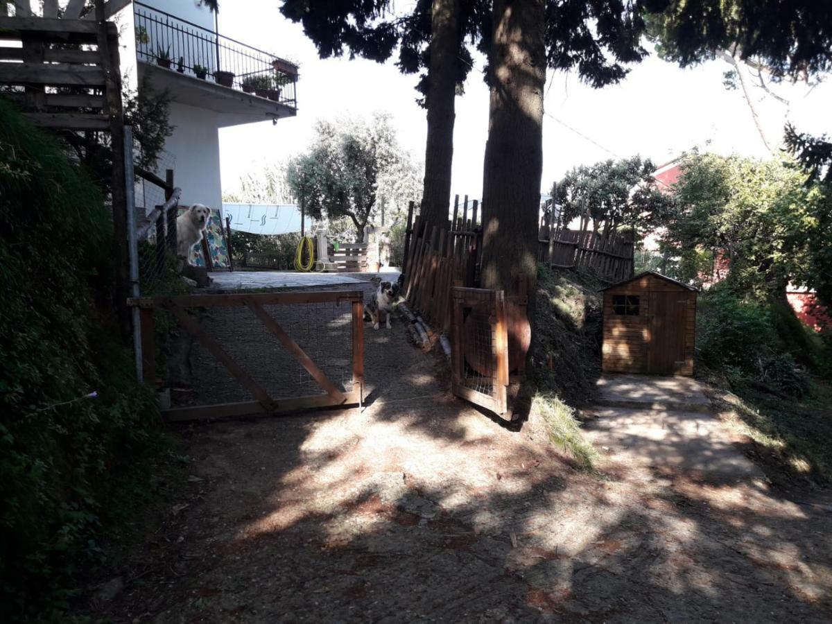 מלון ארקולה Il Giardino Del Nespolo מראה חיצוני תמונה